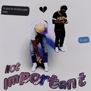 Not Important (feat. Troubskino)