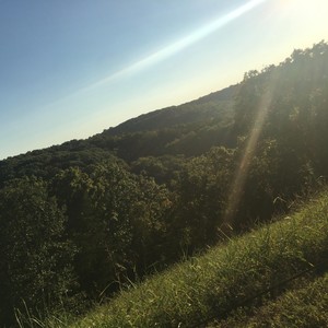 Scenarios In The Head