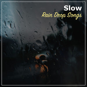 #16 Slow Rain Drop Songs