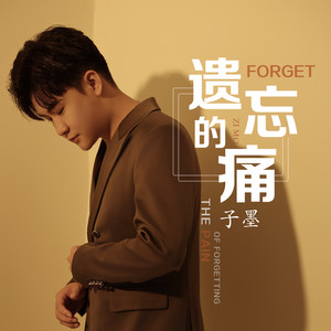 遗忘的痛