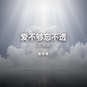 爱不够忘不透 (苦情版)