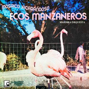 Mosaico Jacarandoso: Aquellos Diciembres / Te Quiero Paco / Pareces Una Nena / Julia / Las Cuatro Hijas / Cualquier Tumba Es Igual / Amor Eterno / Que Le Maten Pollo / El Solterón / El Dormilón