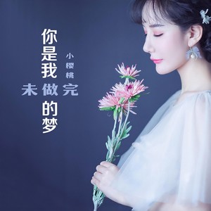 你是我未做完的梦 (伴奏)