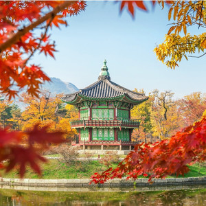 金布袋 - ZICO ‘SPOT! ’