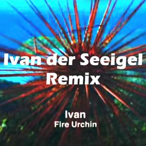 Ivan der Seeigel (Remix)