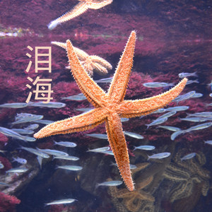 住在你的脑袋-嫣洛瑶