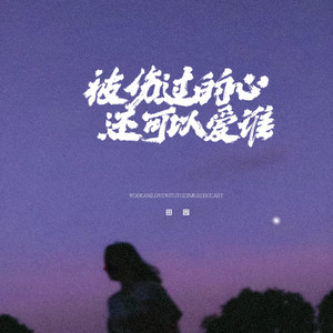 被伤过的心还可以爱谁-田园