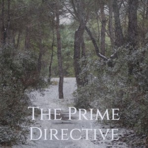 The Prime Directive