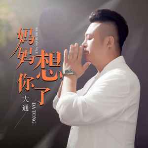 妈妈想你了 (伴奏)