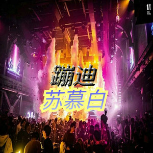 爱到最后都是悲伤 (蹦迪版Remix)