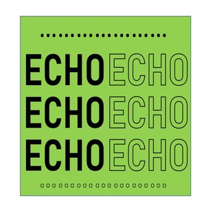 Echo