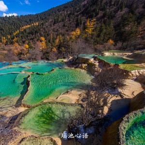 瑶池心语