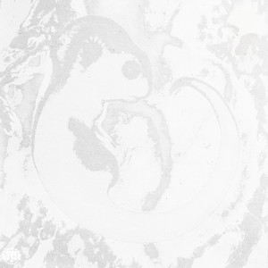 Oarfish (Ayce Bio Remix)