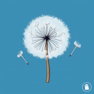 Moetown - Dandelion Fields