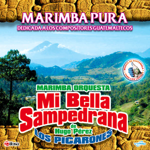 Marimba Pura. Música de Guatemala para los Latinos