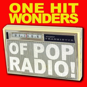 One Hit Wonders Of Pop Radio