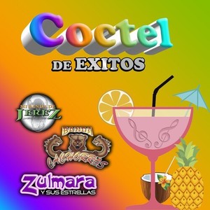 Coctel De Exitos (Grupero / Banda)