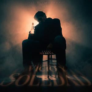 Vicio y Soledad