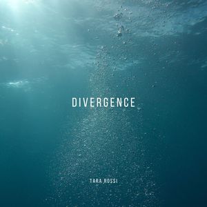 Divergence