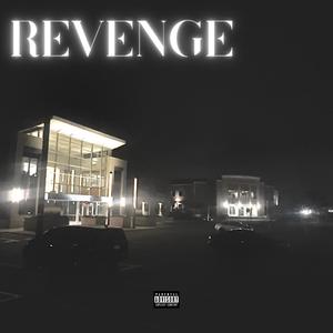 Revenge (feat. r'Nikulous) [Explicit]