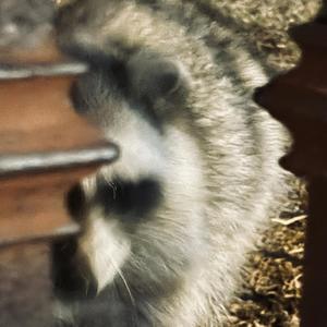 Jesus Take The Wheel