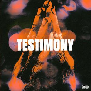 Testimony (Explicit)