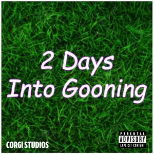 Rizz Records - 2 Days Into Gooning (Corgi Studios Remix|Explicit)