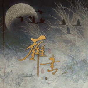 雁书封面