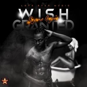 Wish Granted (Explicit)