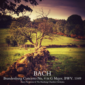 Brandenburg Concerto No. 4 in G Major, BWV. 1049: Andante