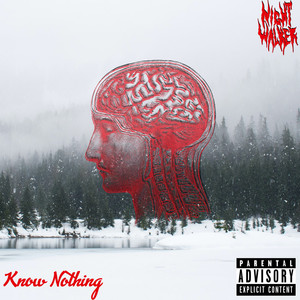 Know Nothing (Explicit)