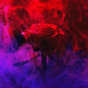 A Mile Beneath The Sea