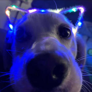 love pt. 2 (feat. Wes Halo)