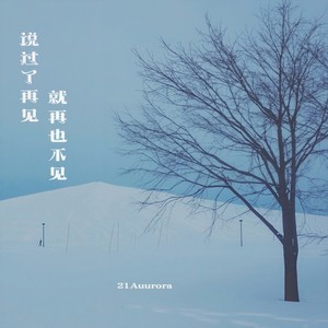 也许我偶尔还是会想他-21Aurora