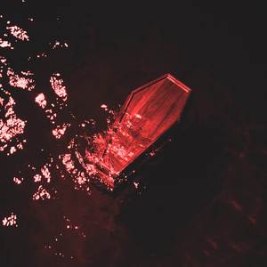 REALITY CHECK (Explicit)