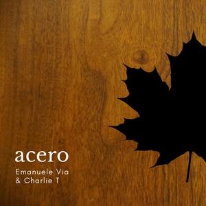 Acero (feat. Charlie T)