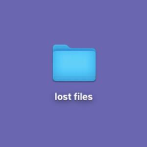 lost files (Explicit)