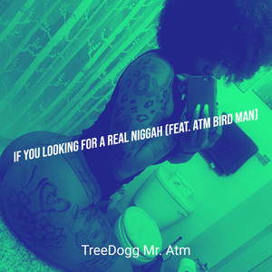 If You Looking for a Real Niggah (Explicit)