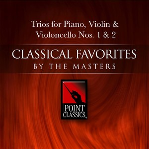 Trio For Violin, Violoncello And Piano No. 2 In C Major Op. 87: Allegro