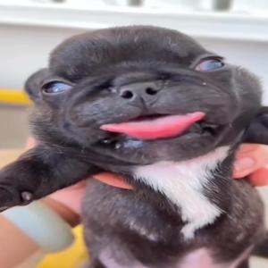 CracBB (feat. favdenim) (Explicit)