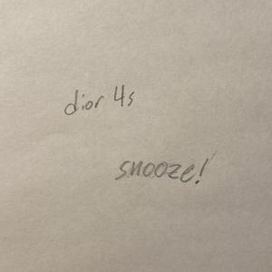 DIOR 4S