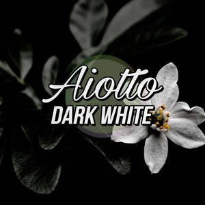 Dark White (Original Mix)