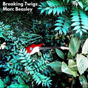 Breaking Twigs