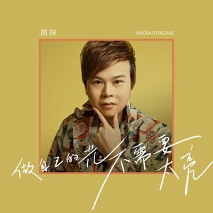 做自己的光，不需要太亮