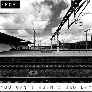 You Can't Ruin A Bad Day