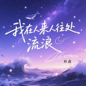 我在人来人往处流浪