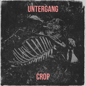 Untergang (Explicit)