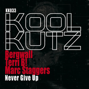 Never Give Up (Instrumental Mix)