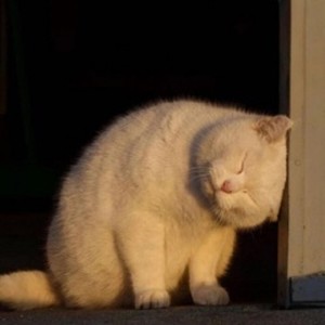I don't wanna see u anymore封面