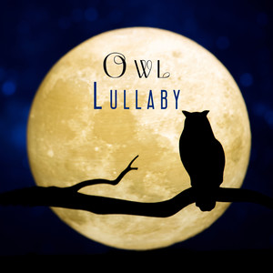 Deep Sleep Universe - Tranquil Atmospheric Ambience